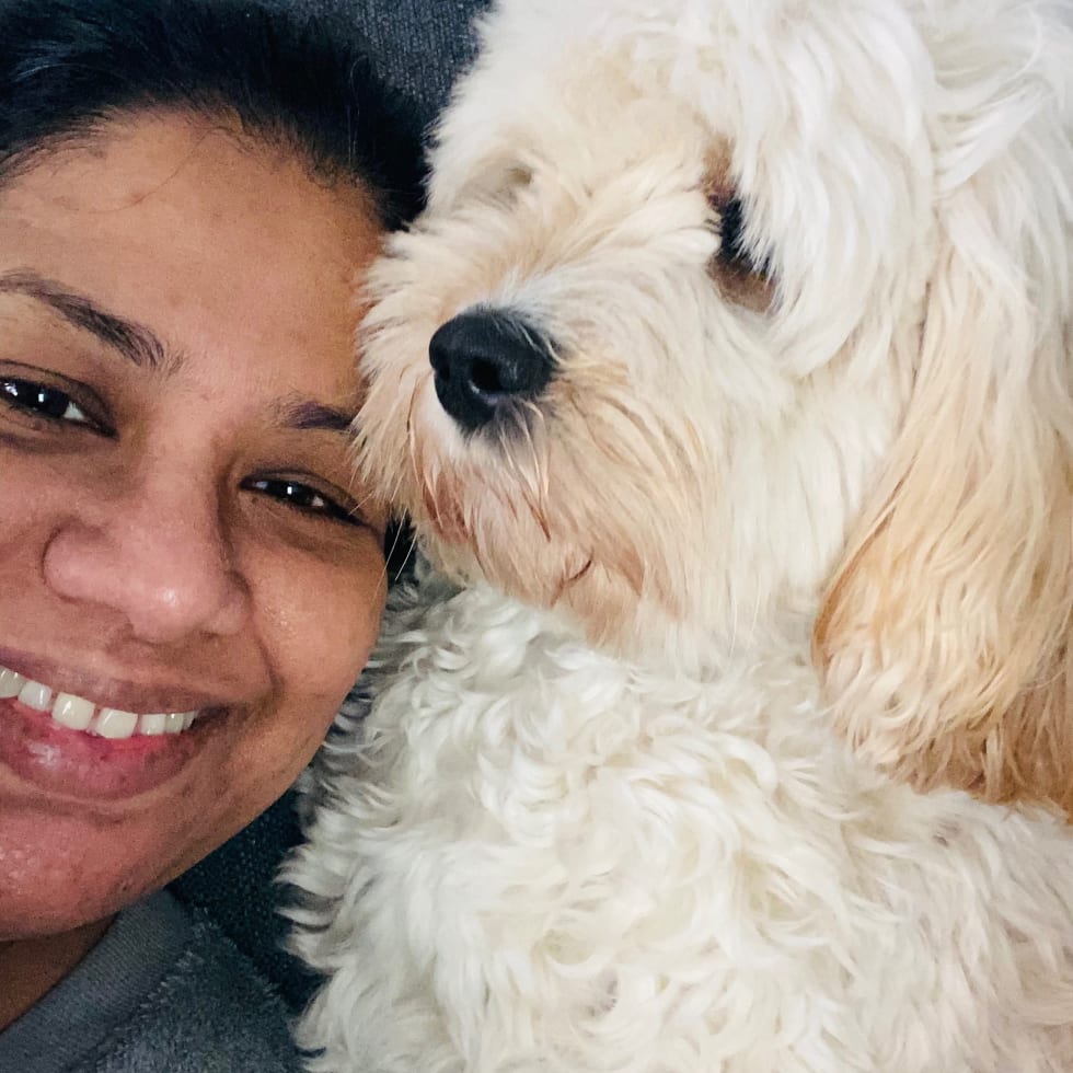 Photo in Sitter's gallery