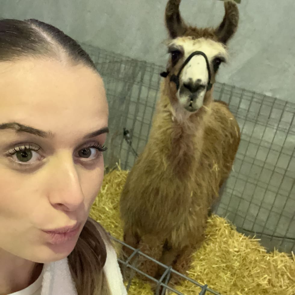 Photo in Sitter's gallery