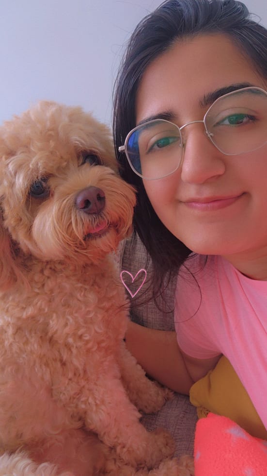 Photo in Sitter's gallery