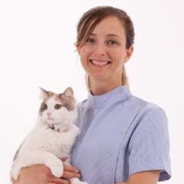 Photo in Sitter's gallery