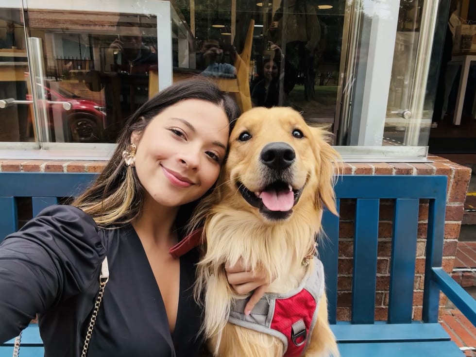 Photo in Sitter's gallery