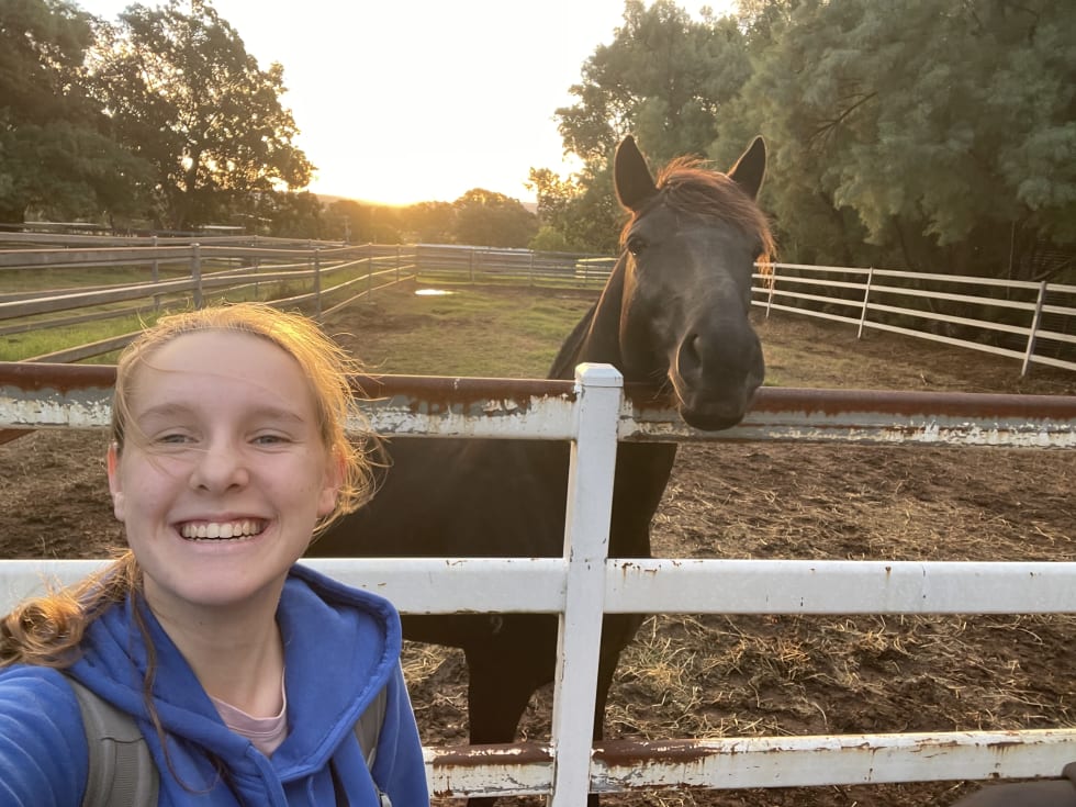 Photo in Sitter's gallery