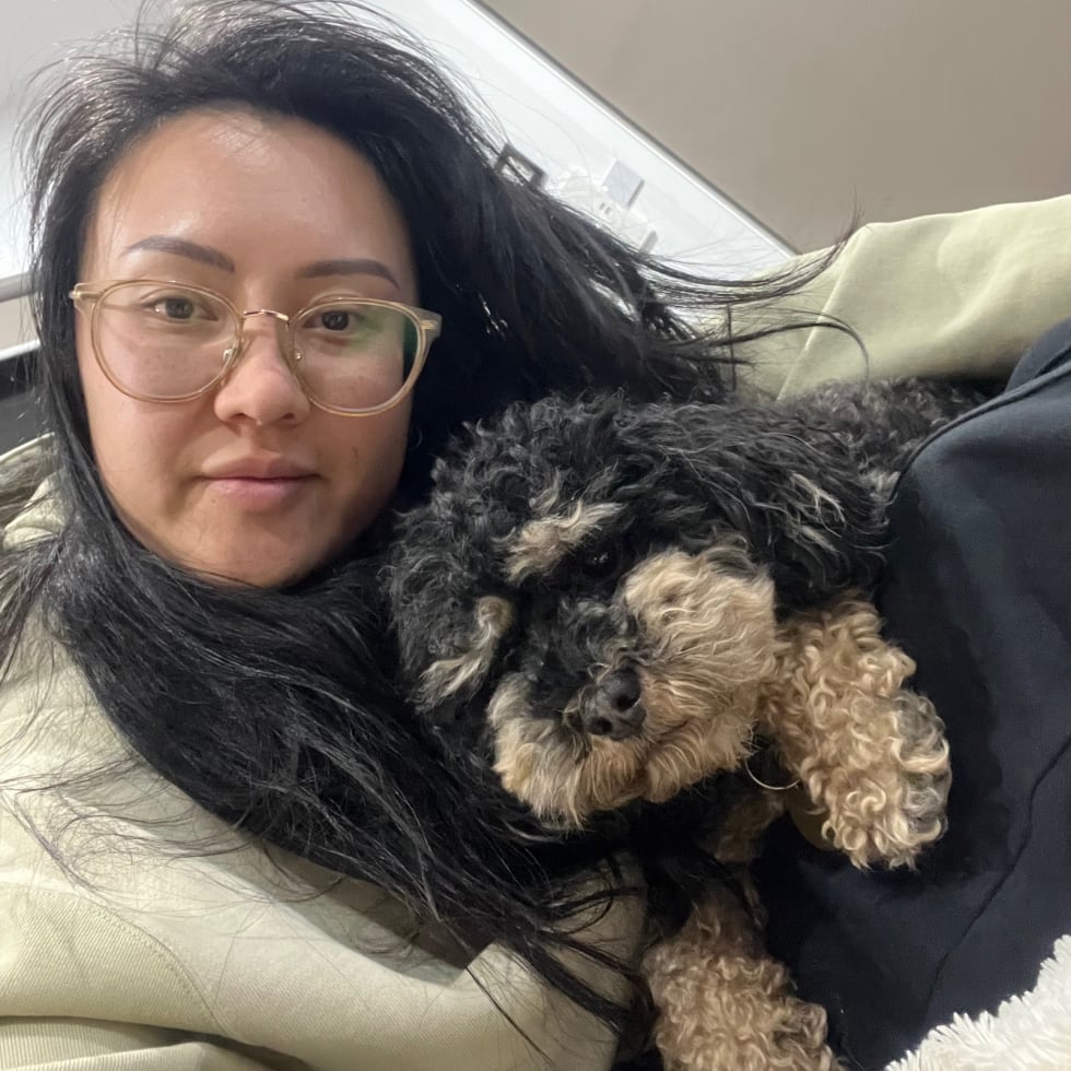 Photo in Sitter's gallery