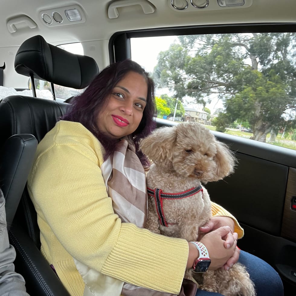 Photo in Sitter's gallery