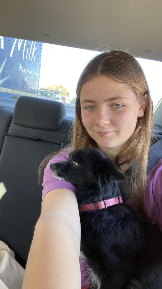 Photo in Sitter's gallery