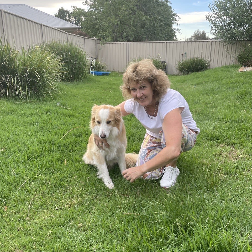 Photo in Sitter's gallery