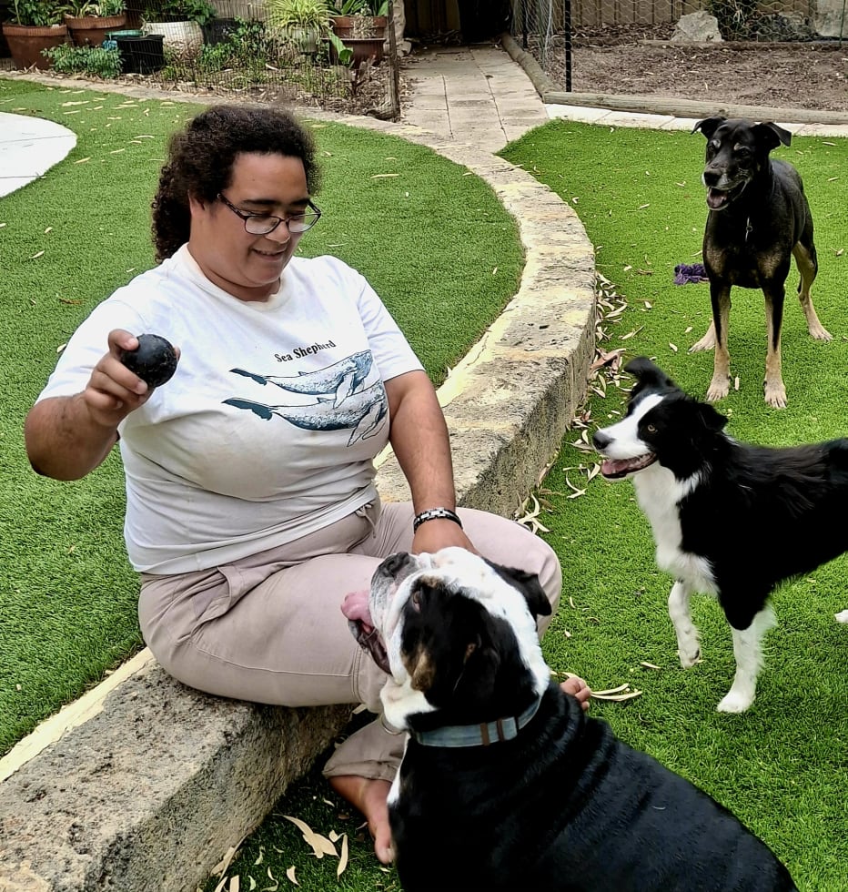 Photo in Sitter's gallery