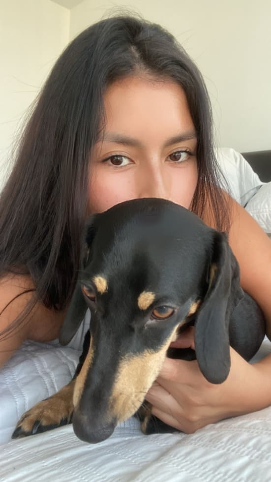 Photo in Sitter's gallery