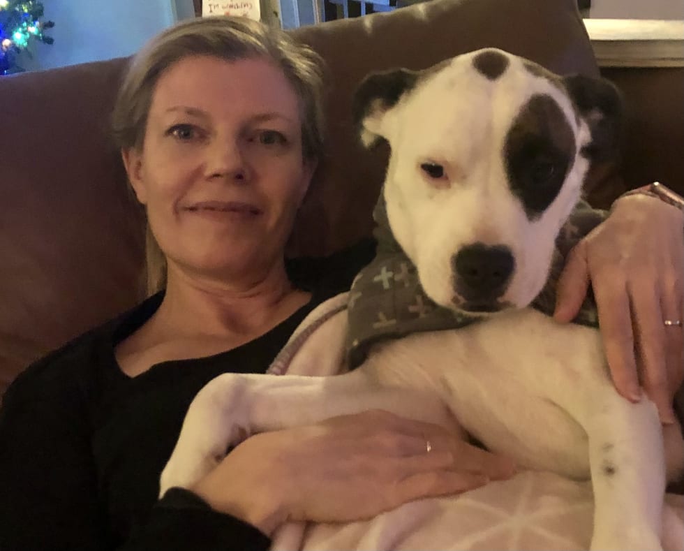 Photo in Sitter's gallery