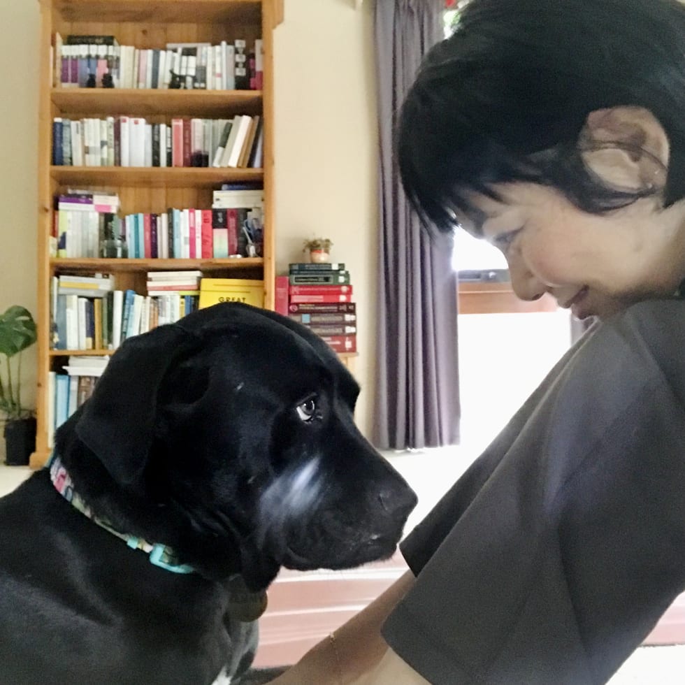 Photo in Sitter's gallery