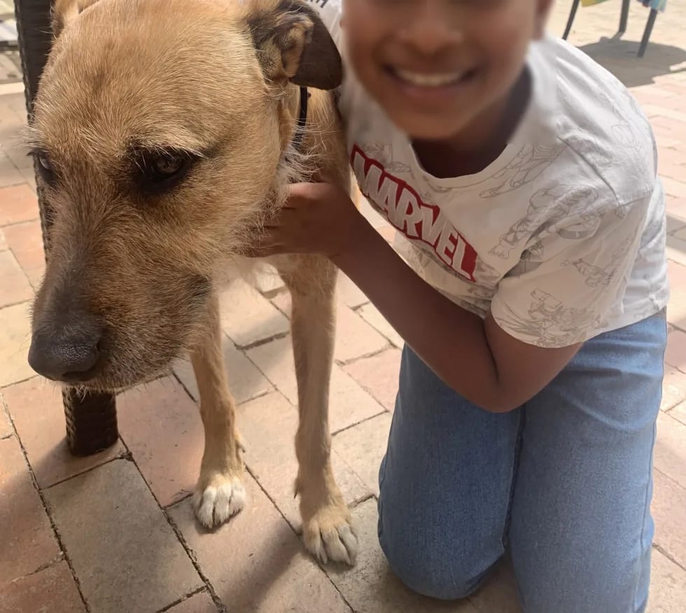 Photo in Sitter's gallery