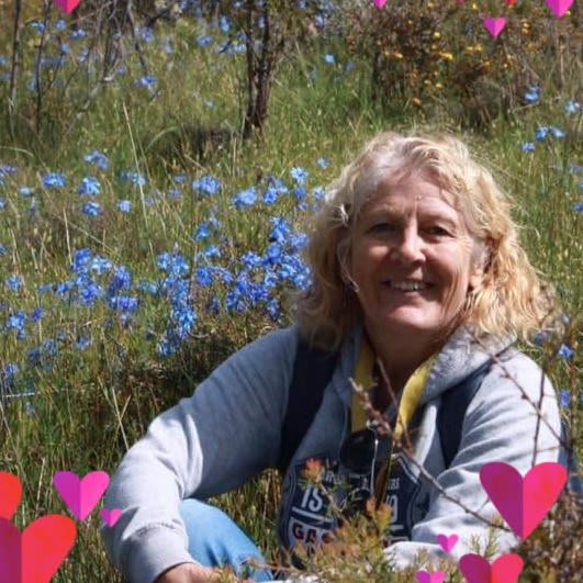 Photo in Sitter's gallery