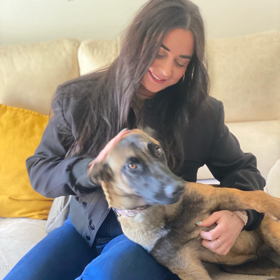 Photo in Sitter's gallery