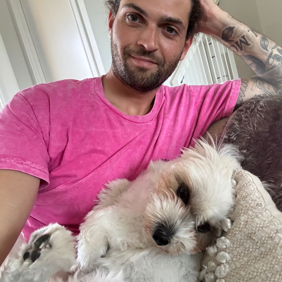 Photo in Sitter's gallery