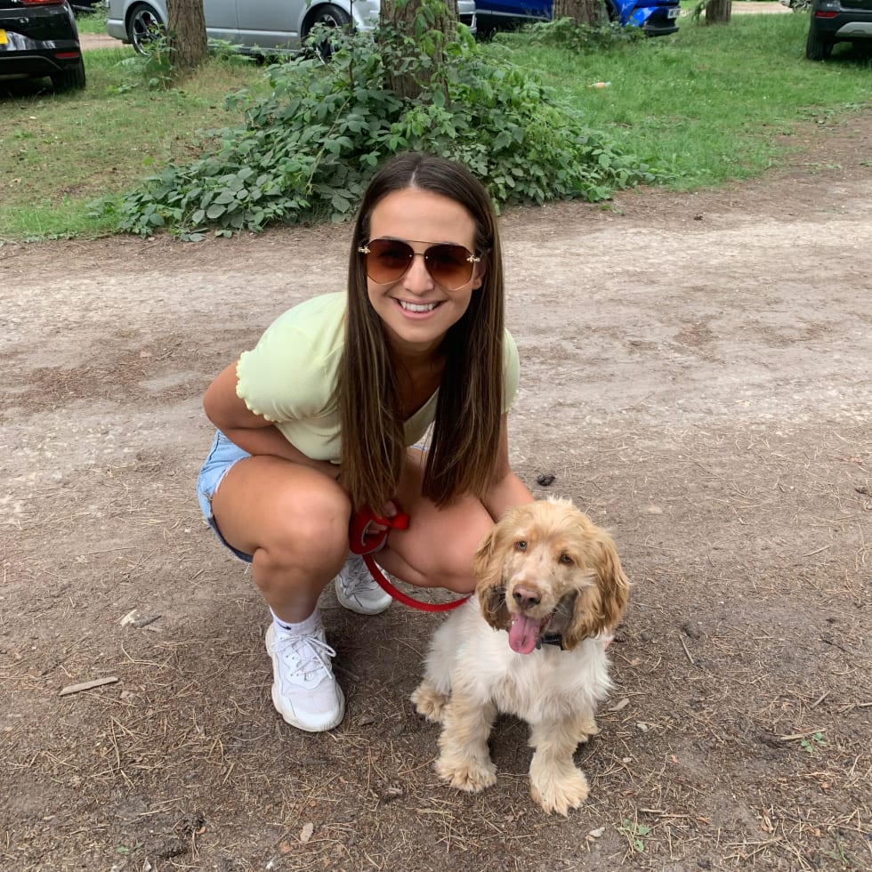 Photo in Sitter's gallery