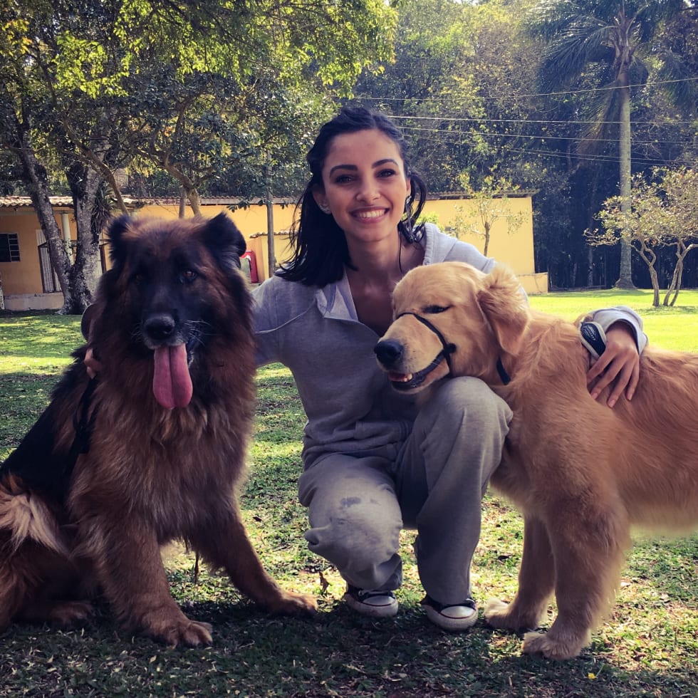 Photo in Sitter's gallery