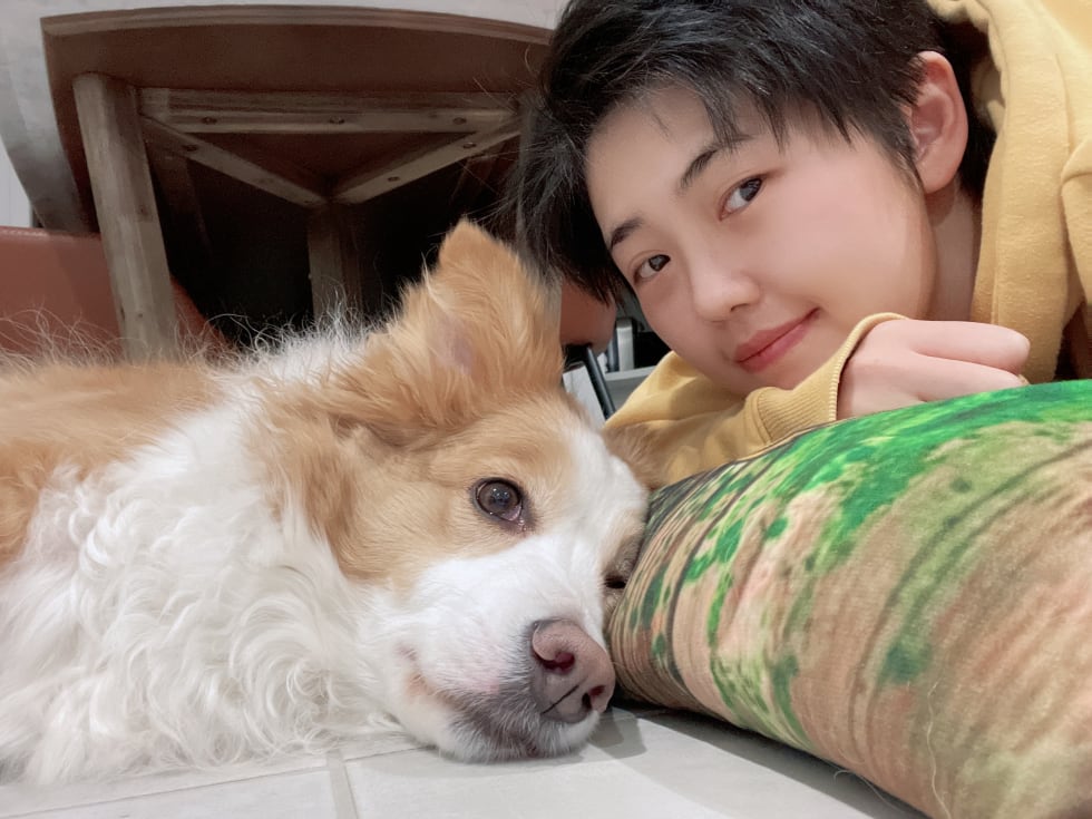 Photo in Sitter's gallery