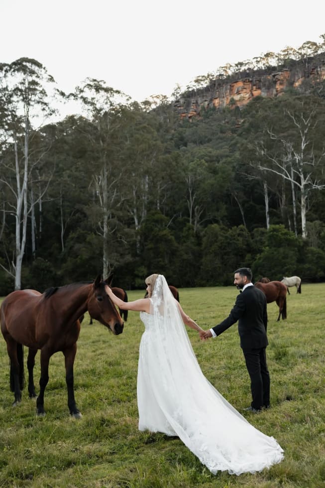 Photo in Sitter's gallery