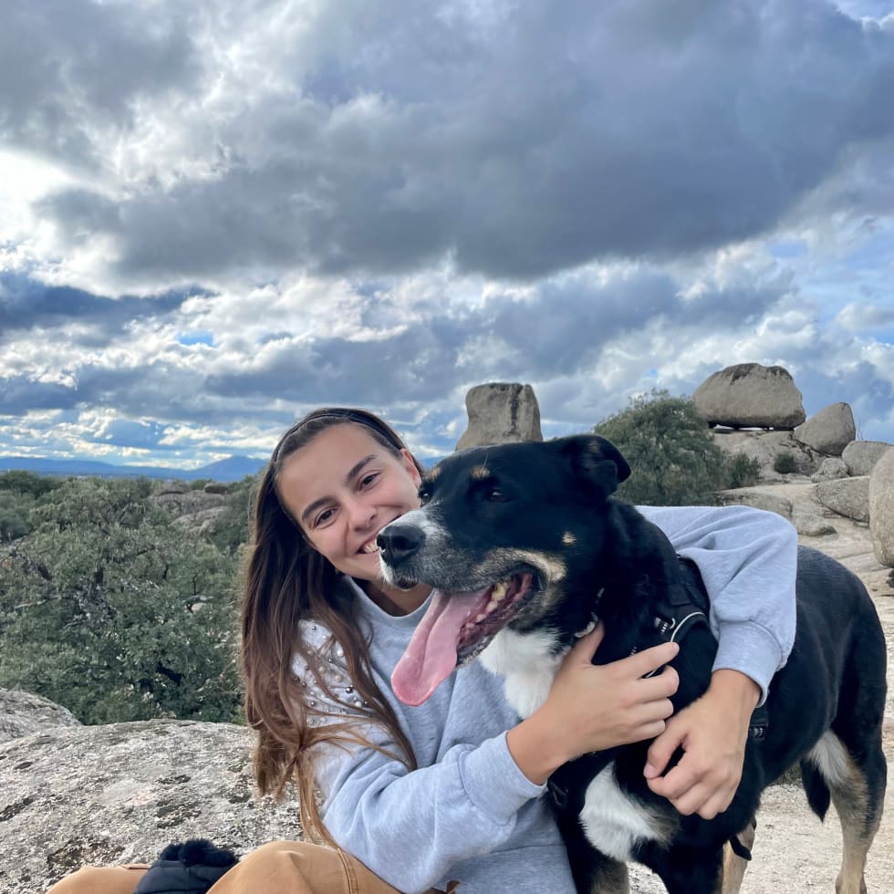 Photo in Sitter's gallery