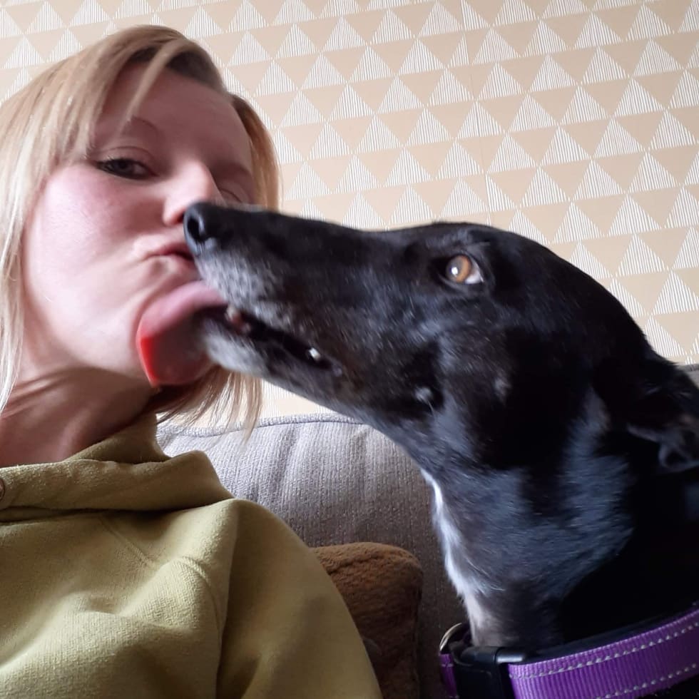 Photo in Sitter's gallery