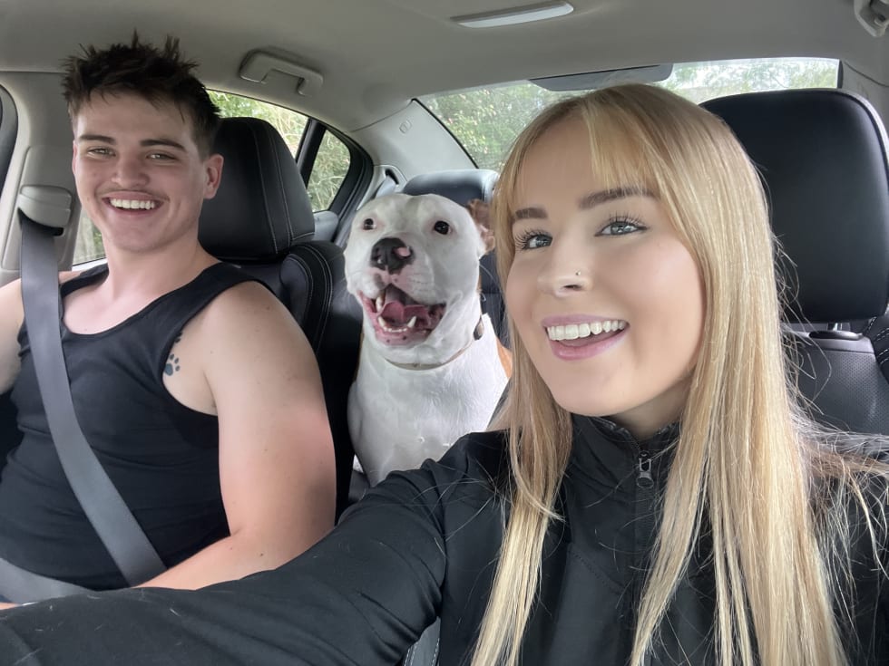 Photo in Sitter's gallery