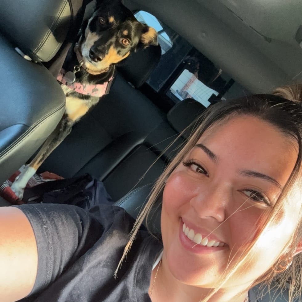 Photo in Sitter's gallery