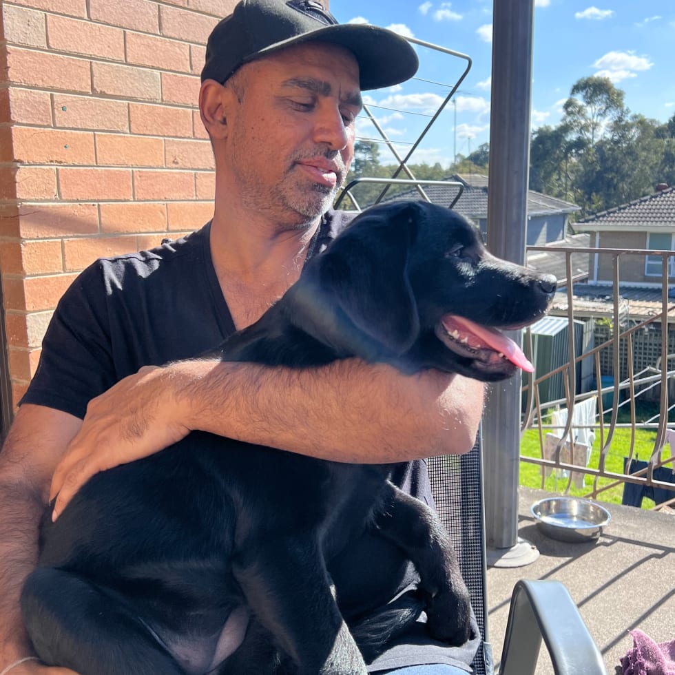 Photo in Sitter's gallery