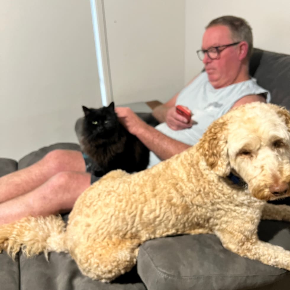 Photo in Sitter's gallery