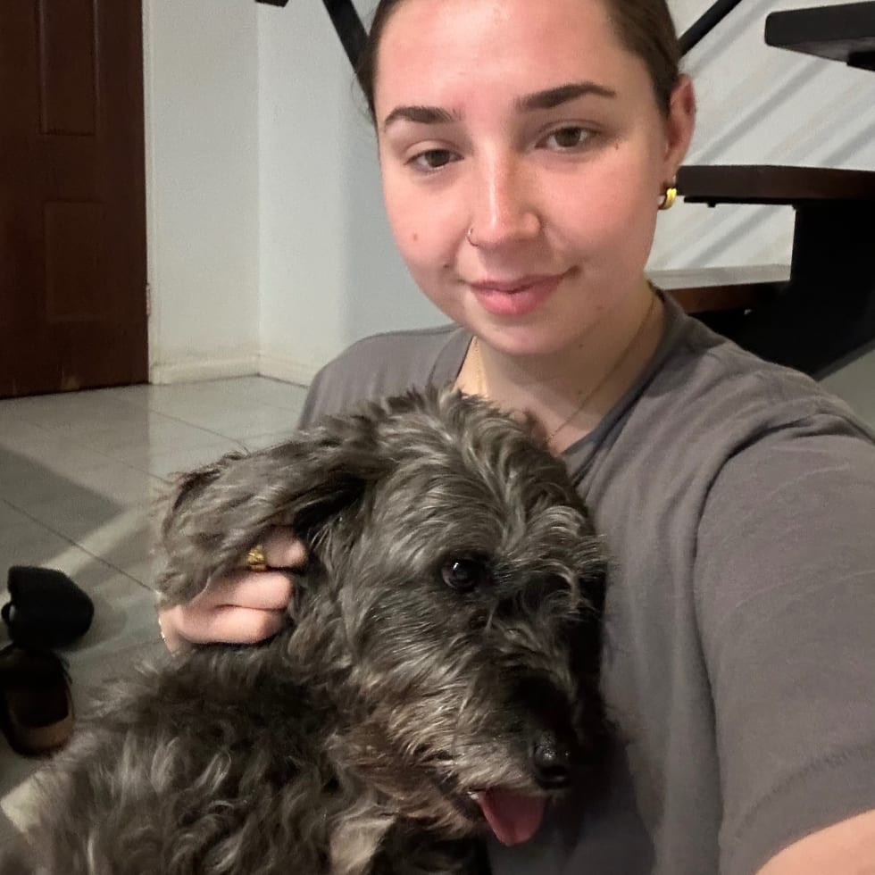 Photo in Sitter's gallery