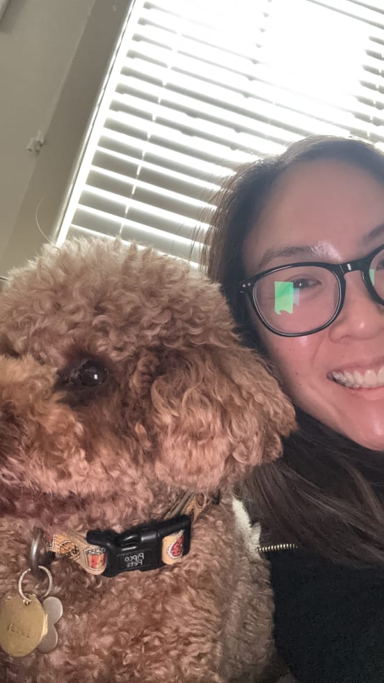 Photo in Sitter's gallery