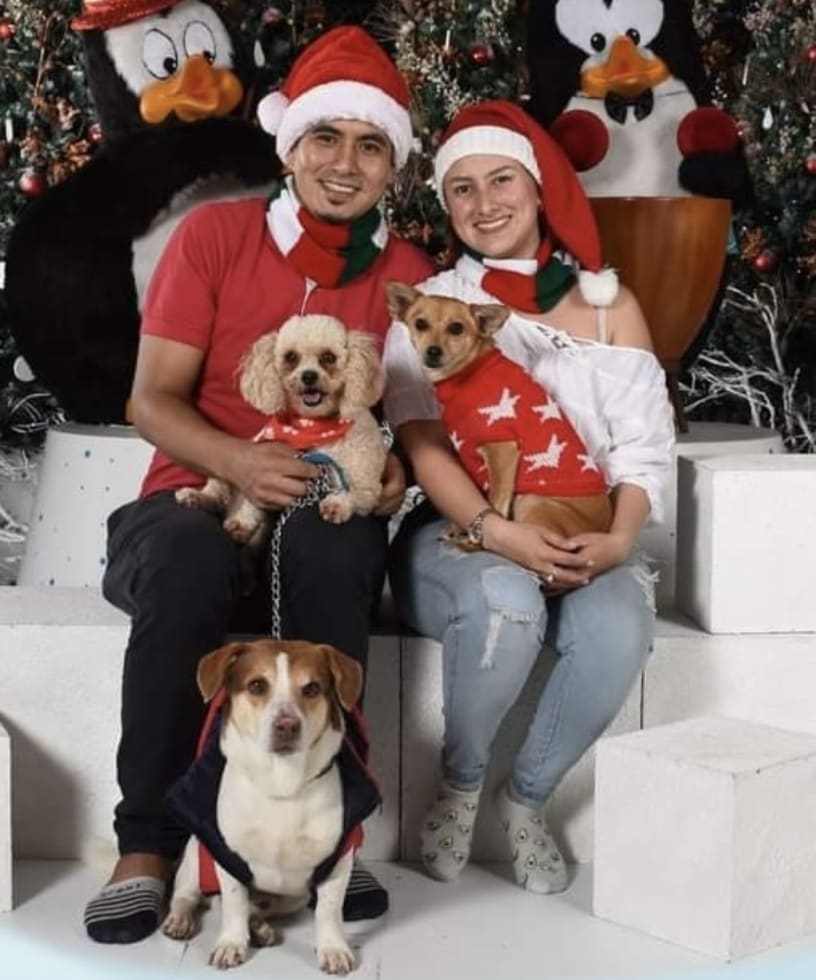 Photo in Sitter's gallery