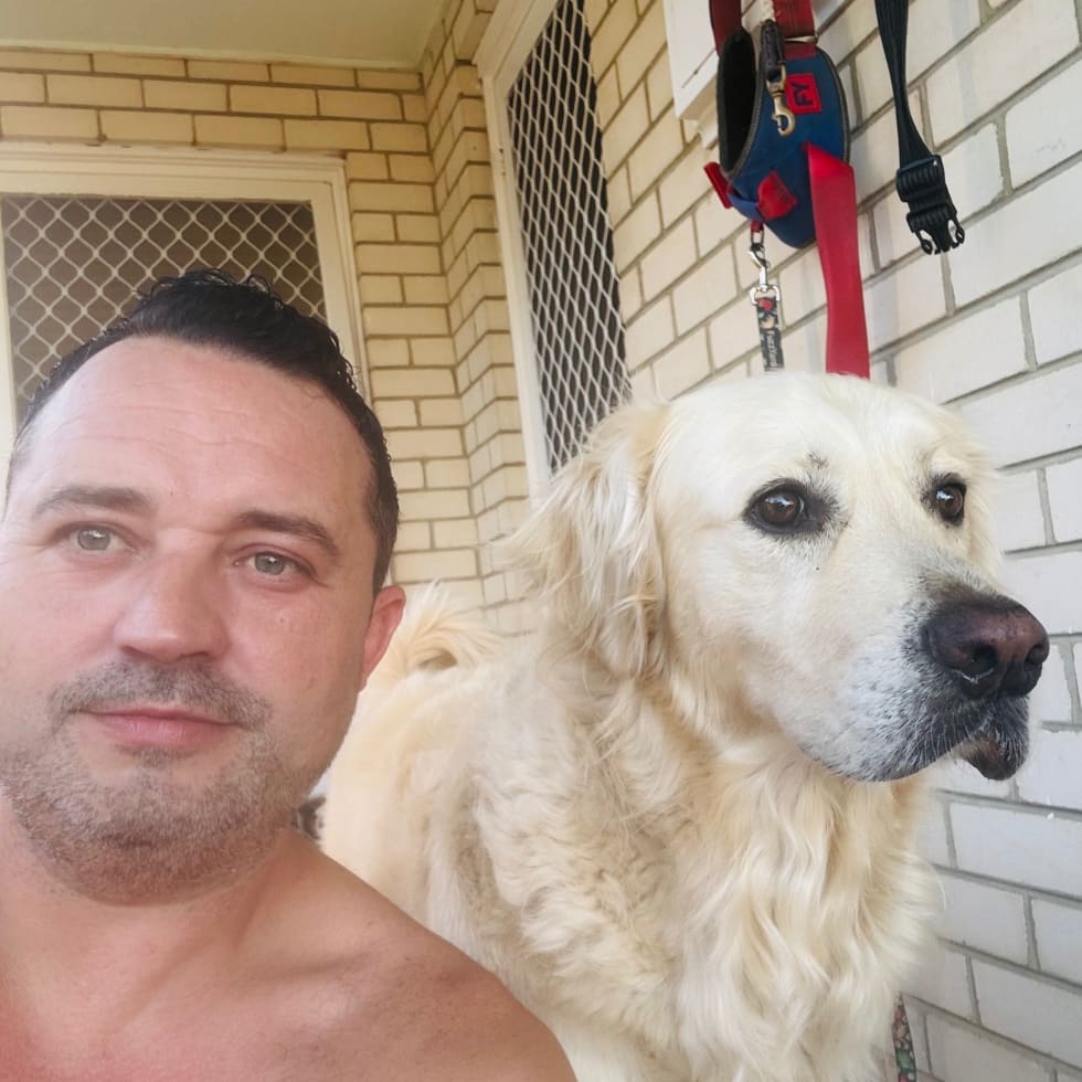 Photo in Sitter's gallery