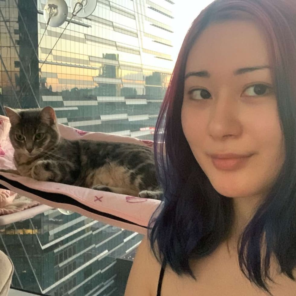 Photo in Sitter's gallery