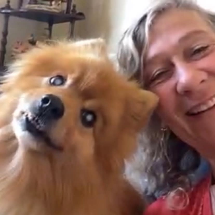 Photo in Sitter's gallery