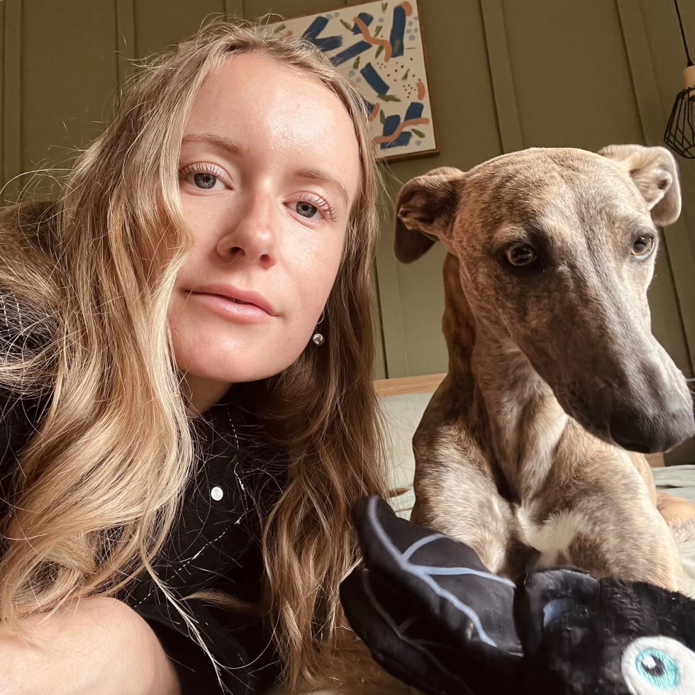 Photo in Sitter's gallery