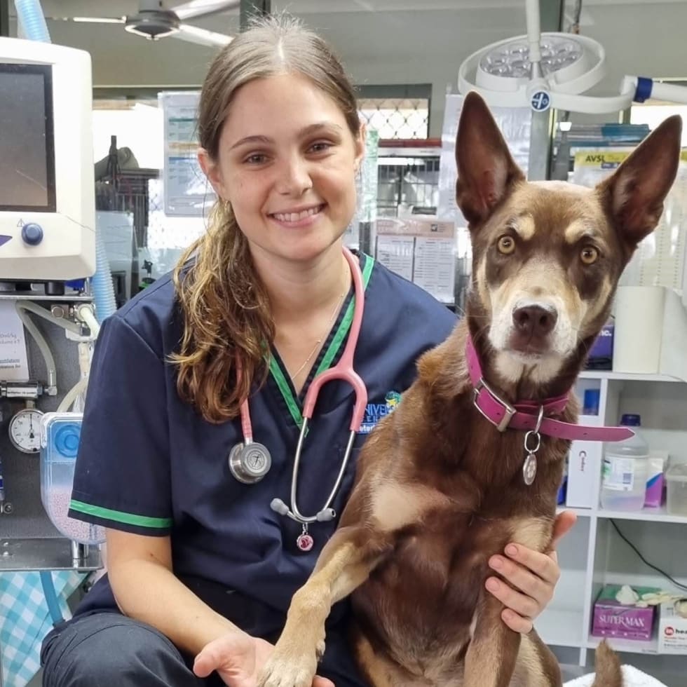 Photo in Sitter's gallery