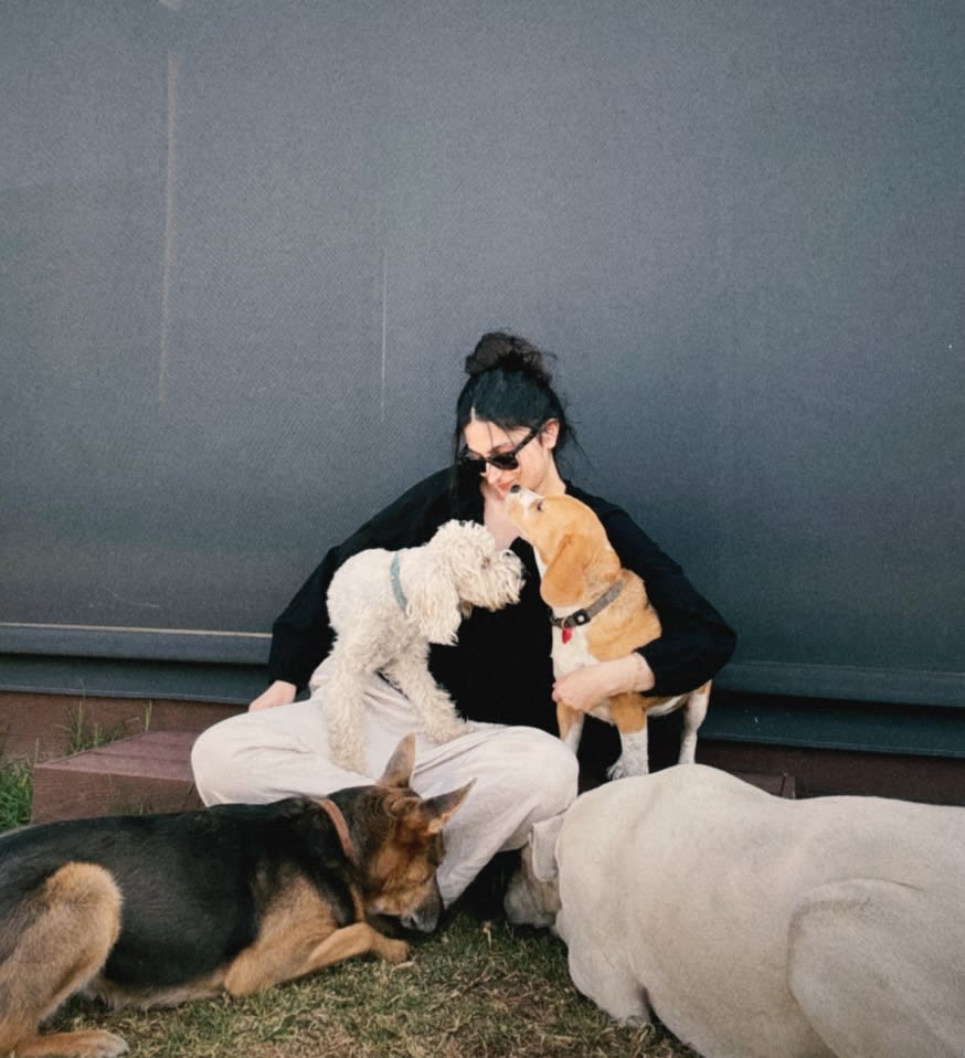 Photo in Sitter's gallery