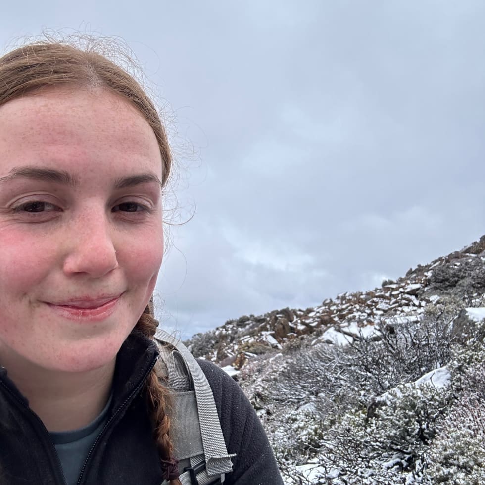 Photo in Sitter's gallery