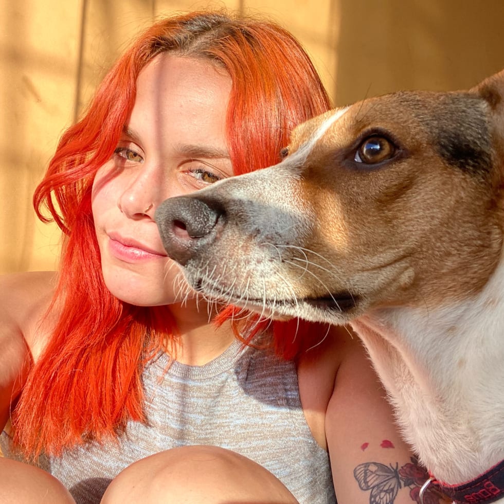 Photo in Sitter's gallery