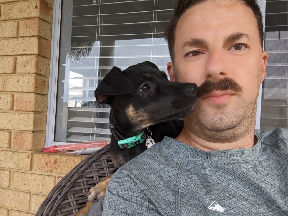 Photo in Sitter's gallery