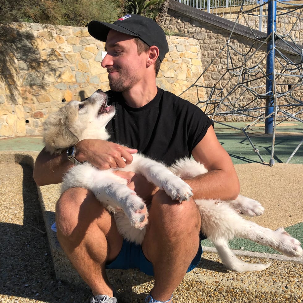 Photo in Sitter's gallery