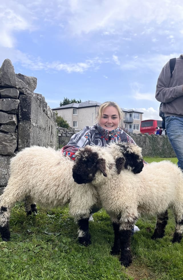 Photo in Sitter's gallery