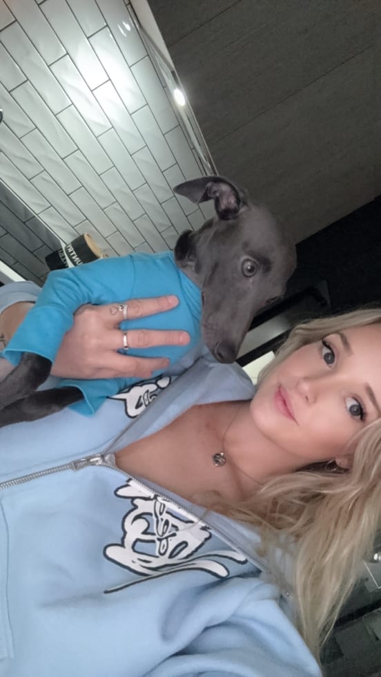 Photo in Sitter's gallery