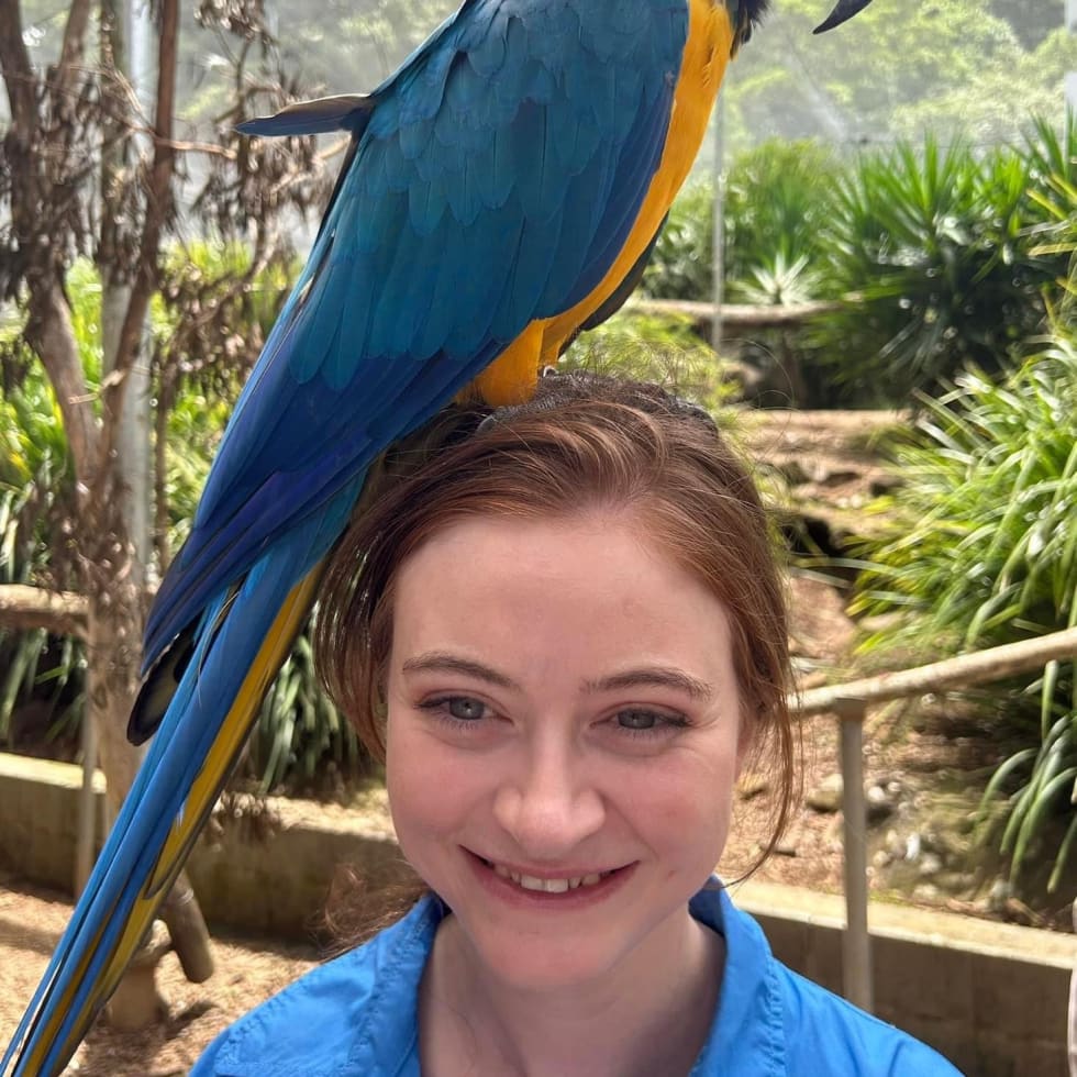 Photo in Sitter's gallery