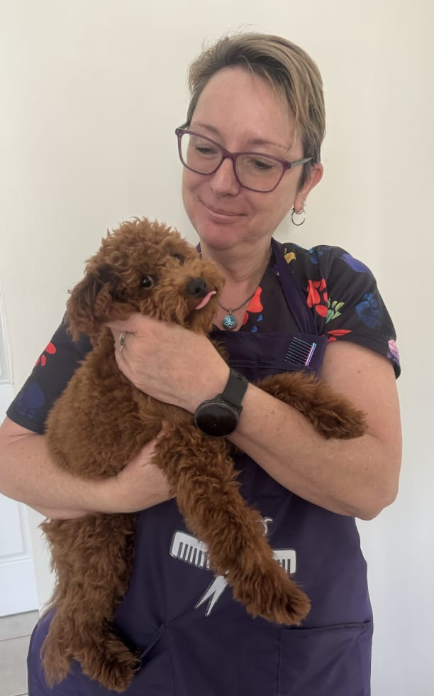 Photo in Sitter's gallery