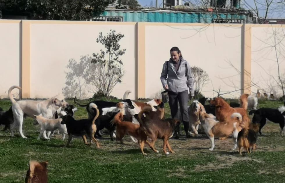 Photo in Sitter's gallery