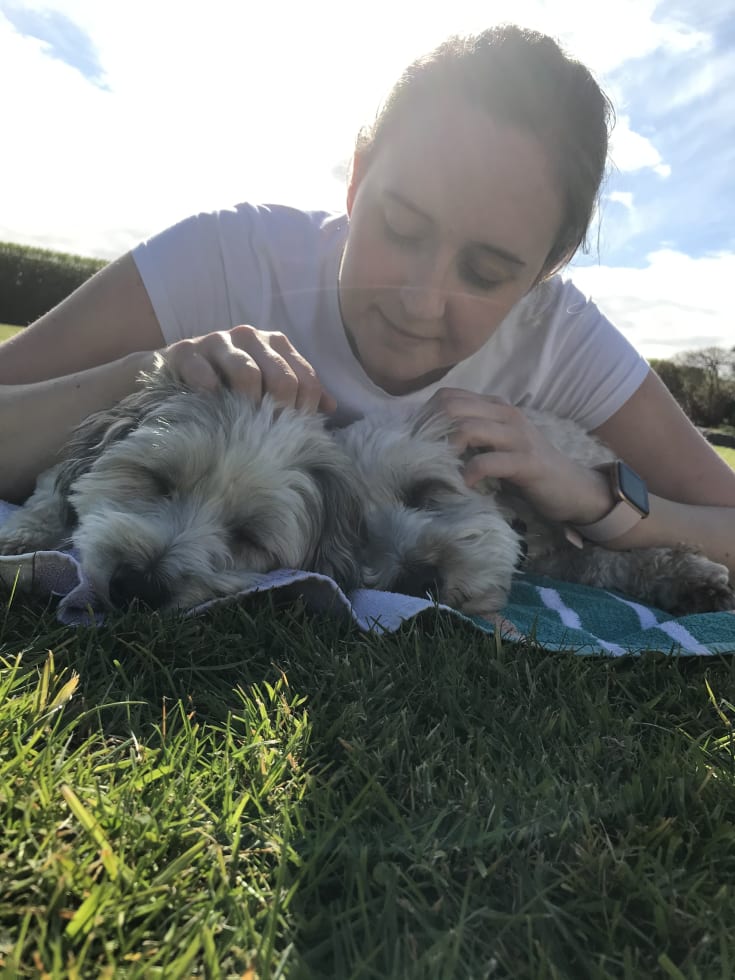 Photo in Sitter's gallery