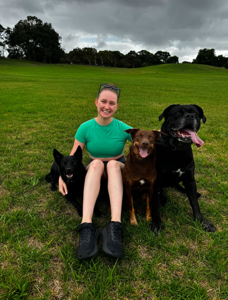 Photo in Sitter's gallery