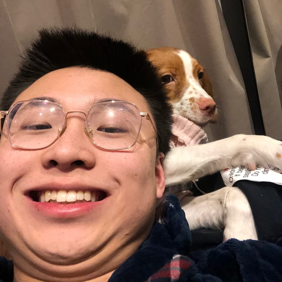 Photo in Sitter's gallery