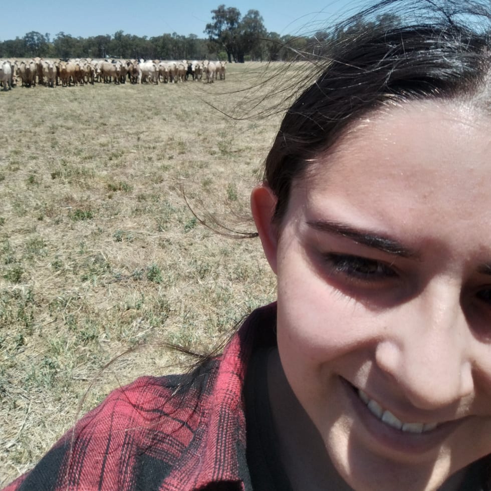 Photo in Sitter's gallery